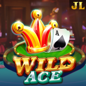 Wild Ace at 365jl